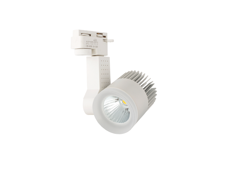 ÄÃN Rá»I RAY 20W DTL-20 (Vá» TRẮNG)